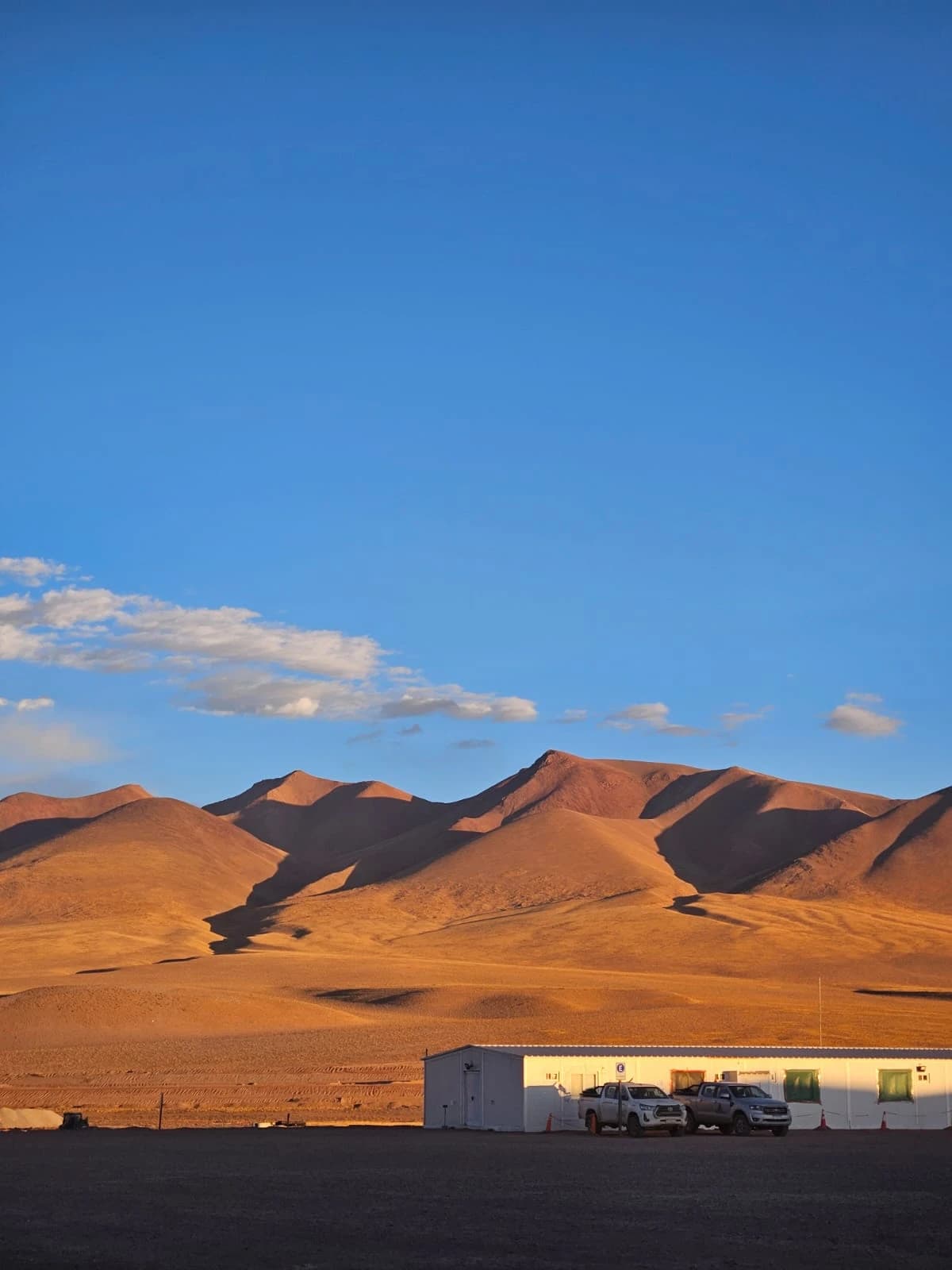 Acompañamiento operativo para empresas